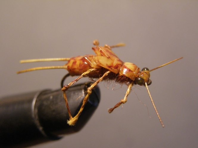 Moscas Carpas 016.jpg